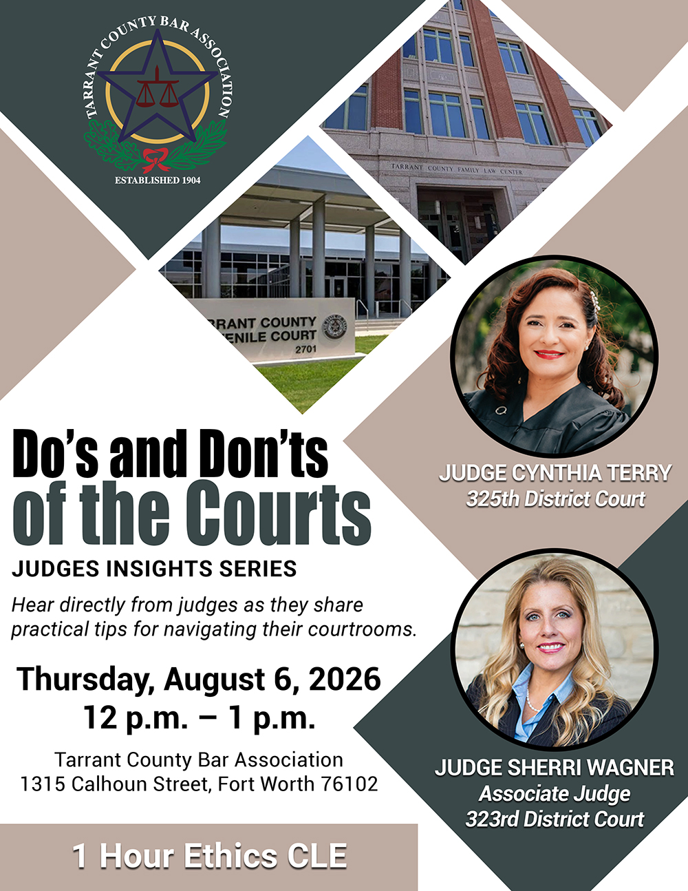 Do's and Don'ts of the Courts CLE flyer